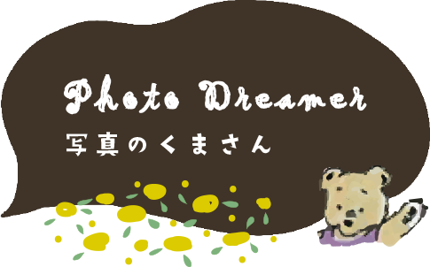 Photo Dreamer 写真のくまさん